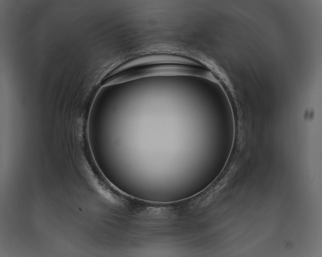 X0000091530057200708241720