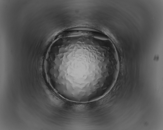 X0000091530058200708241720