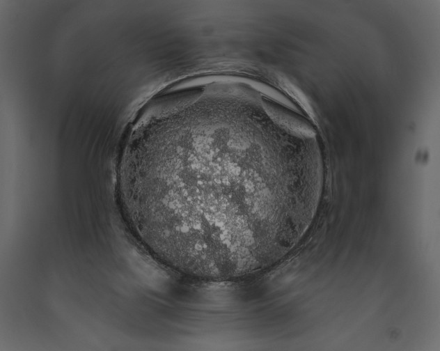 X0000091530059200708241720