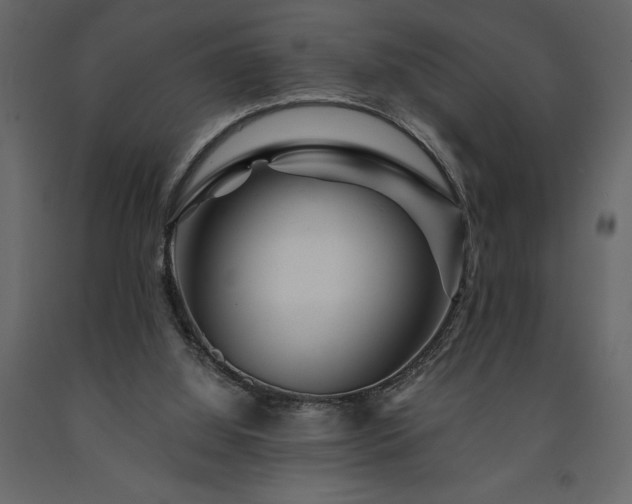 X0000091530060200708241720