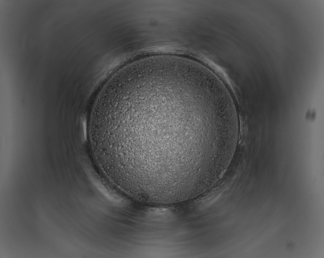 X0000091530061200708241720