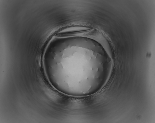 X0000091530062200708241720