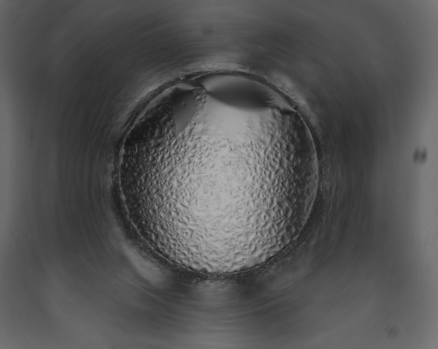 X0000091530063200708241720