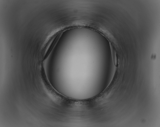 X0000091530064200708241721