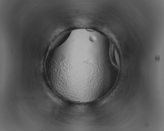 X0000091530065200708241721