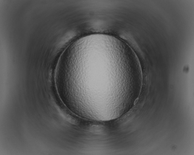 X0000091530066200708241721