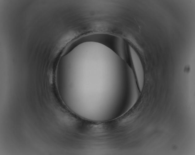 X0000091530068200708241721