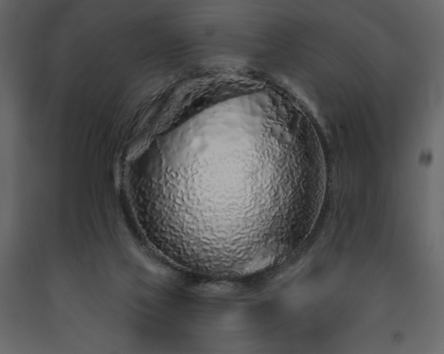 X0000091530069200708241721
