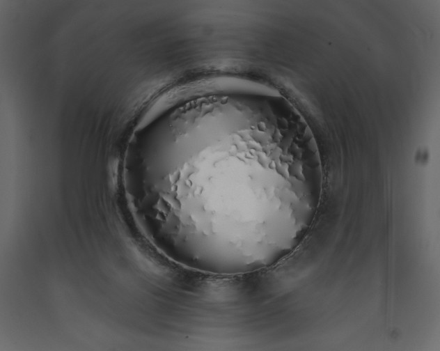 X0000091530070200708241721