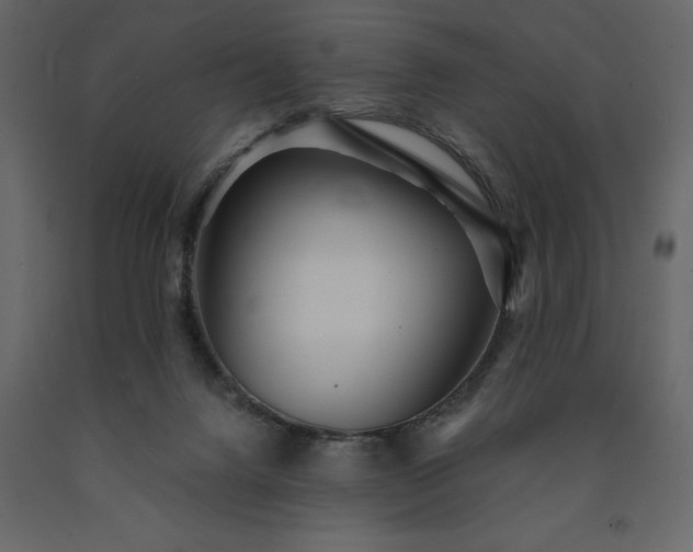 X0000091530072200708241721