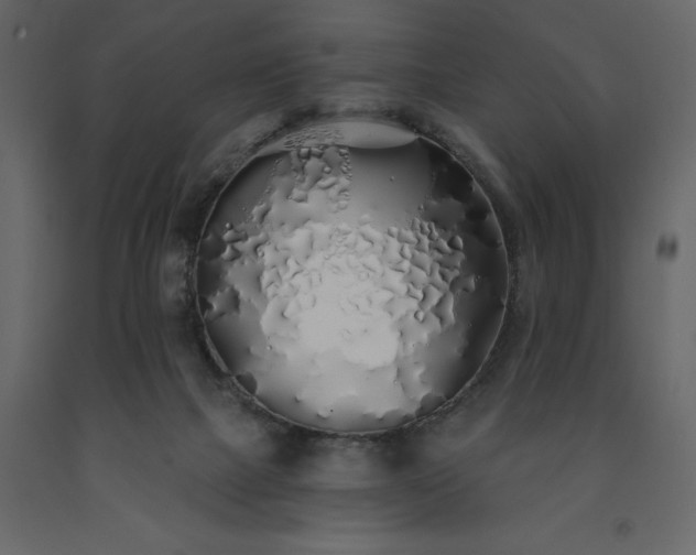 X0000091530073200708241721
