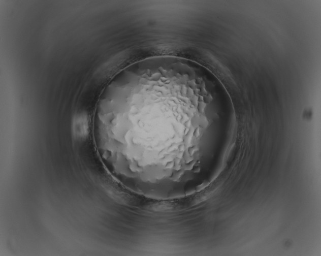 X0000091530075200708241721