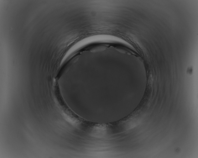 X0000091530076200708241721