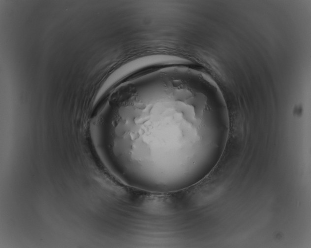 X0000091530077200708241721