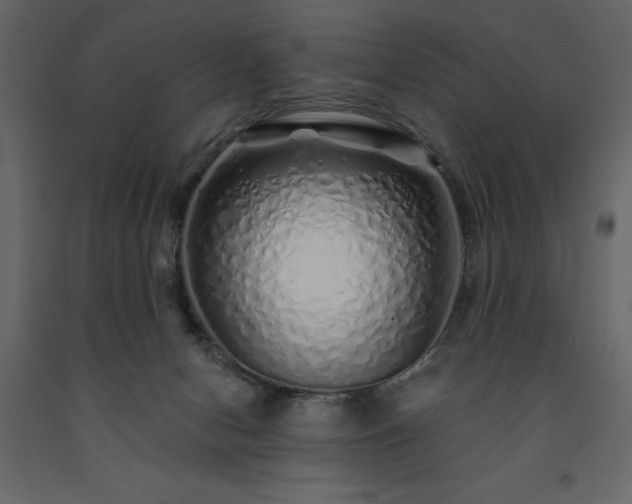 X0000091530078200708241721