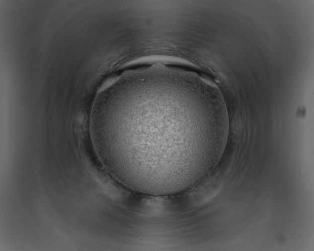 X0000091530079200708241721