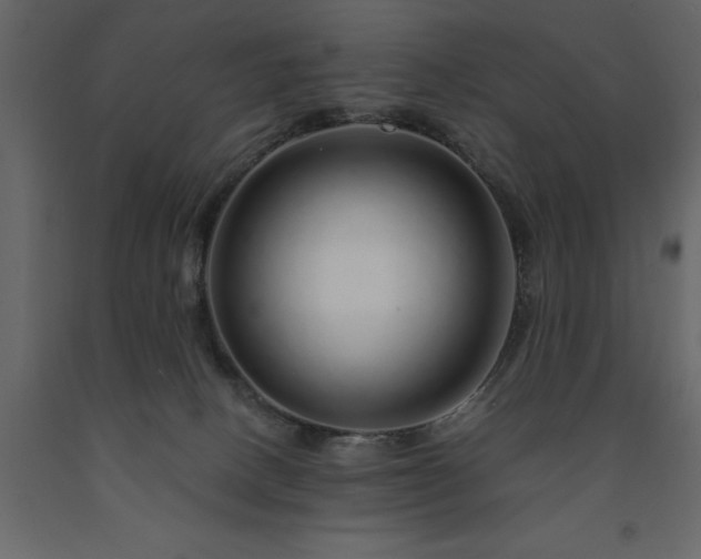 X0000091530082200708241721