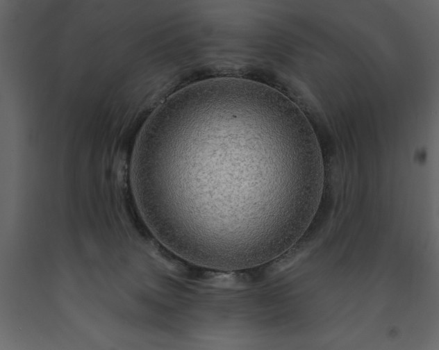 X0000091530083200708241721