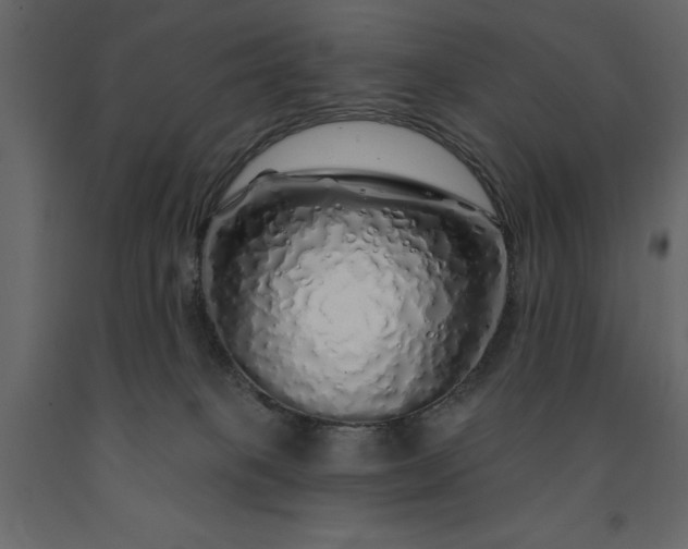 X0000091530085200708241721