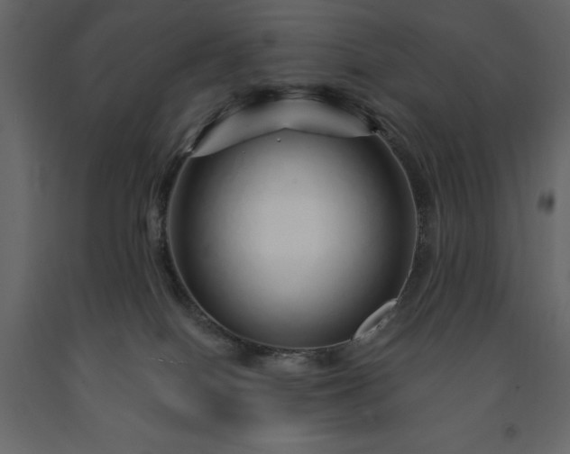 X0000091530086200708241721