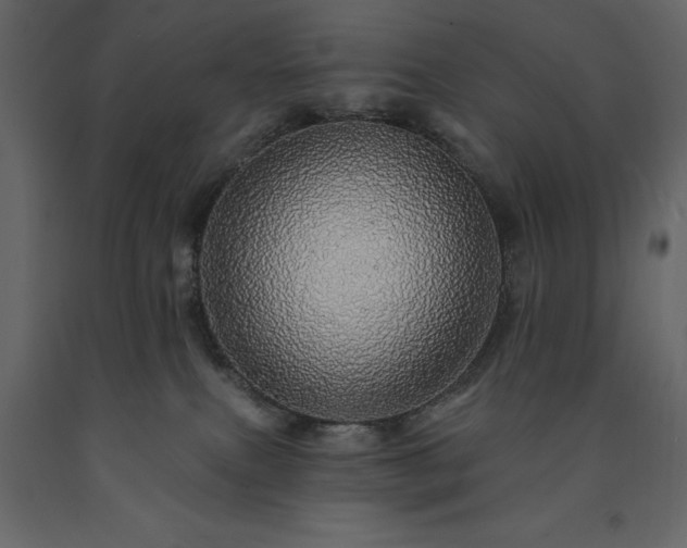 X0000091530087200708241721