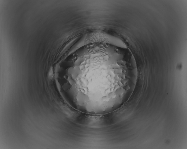 X0000091530089200708241721