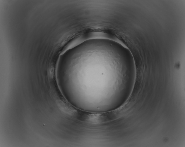 X0000091530090200708241721