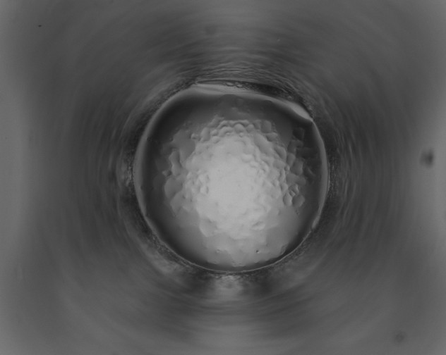 X0000091530091200708241721