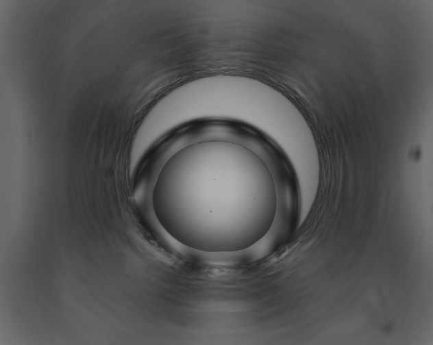X0000091530092200708241721