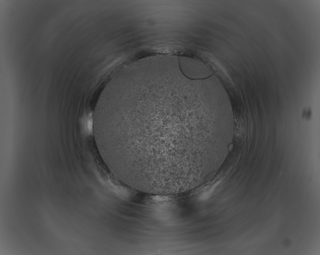X0000091530095200708241721