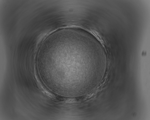X0000091530097200708241720
