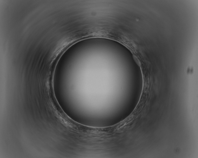 X0000091530098200708241720