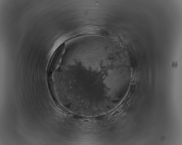 X0000091530099200708241720