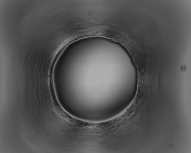X0000091530100200708241720
