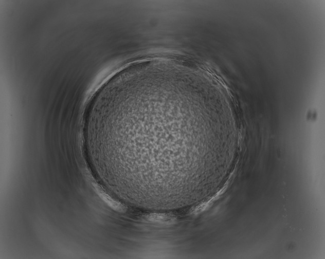 X0000091530101200708241720