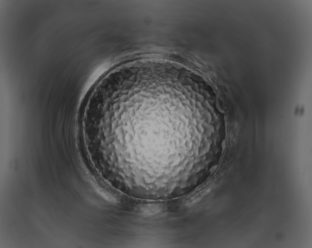 X0000091530102200708241720