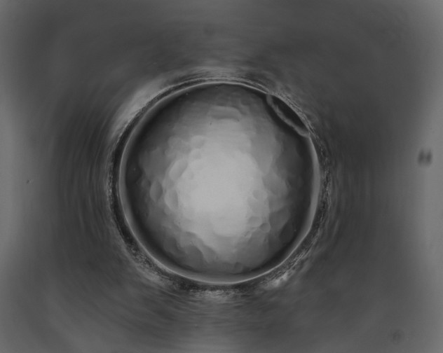 X0000091530103200708241720