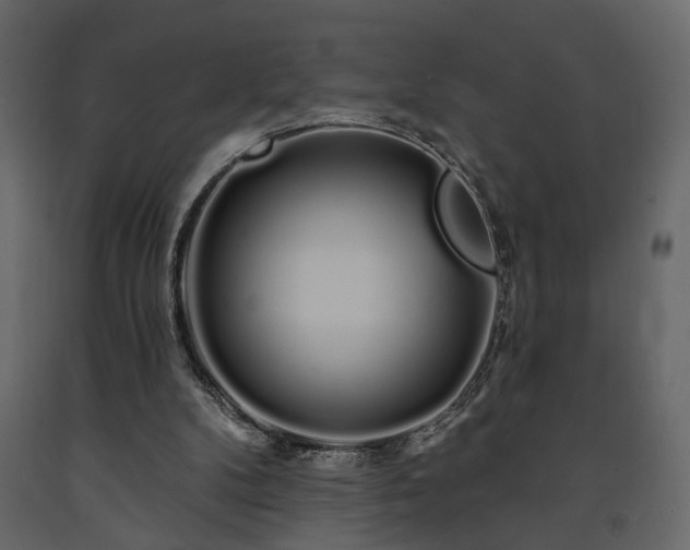 X0000091530104200708241720