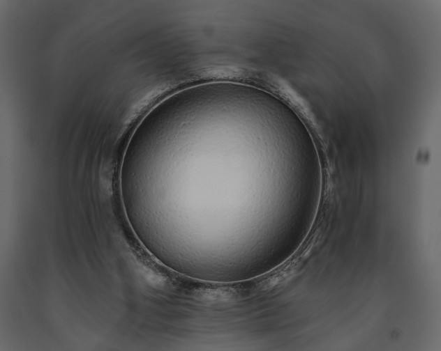 X0000091530106200708241720