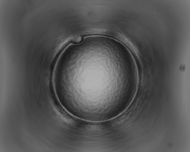 X0000091530107200708241720