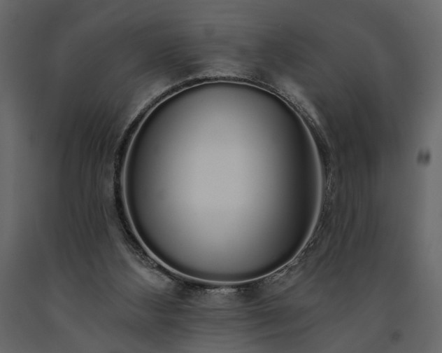 X0000091530108200708241720
