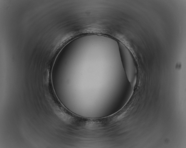 X0000091530109200708241720