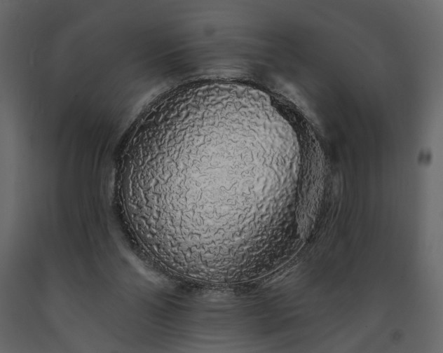 X0000091530110200708241720
