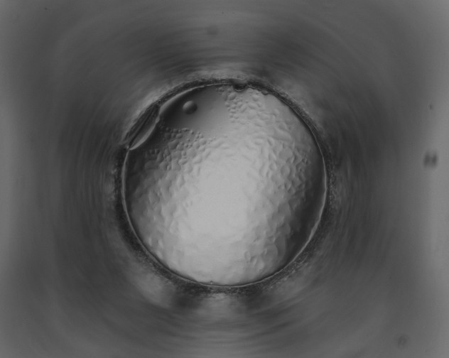 X0000091530111200708241720