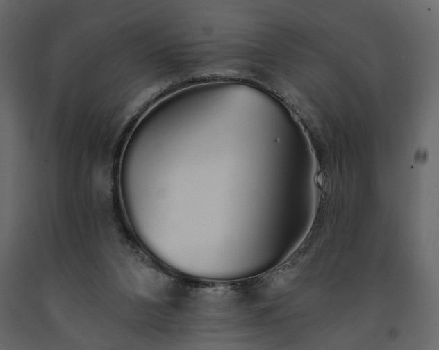 X0000091530112200708241720