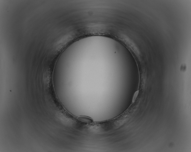 X0000091530113200708241720