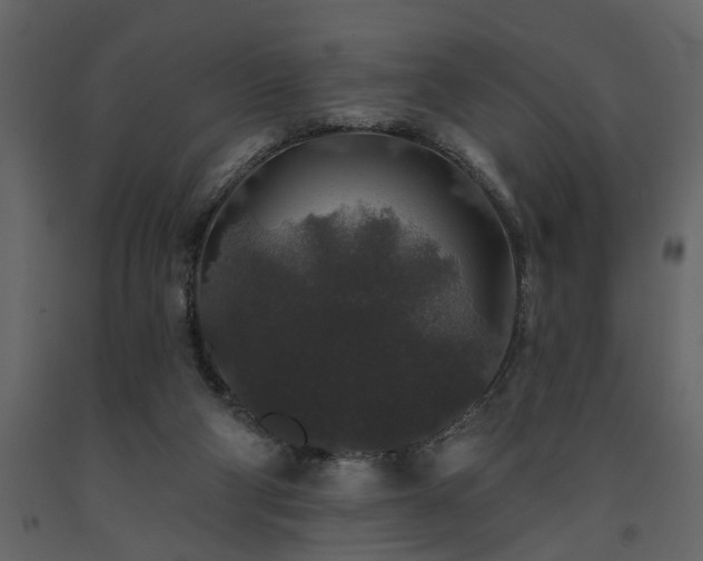 X0000091530114200708241720