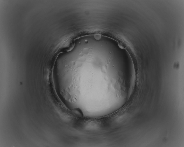 X0000091530115200708241720