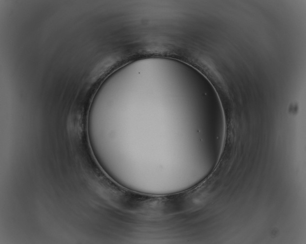 X0000091530116200708241720