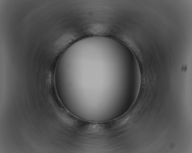 X0000091530117200708241720